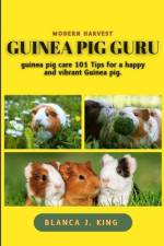 Guinea pig Guru af Blanca J King