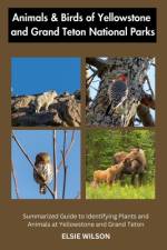 Animals and Birds of Yellowstone and Grand Teton National Parks af Elsie Wilson