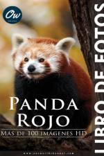 Panda rojo af A Arelt