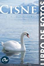 Cisne af A Arelt