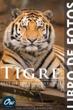 Tigre af A Arelt