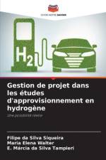 Gestion de projet dans les etudes d'approvisionnement en hydrogene af Maria Elena Walter