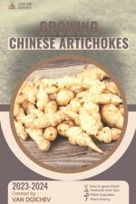 Chinese Artichokes af Van Doichev