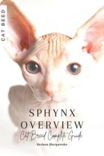 Sphynx Overview af Ruslana Shurpatenko
