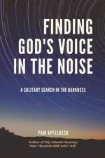 Finding God's Voice in the Noise af Pam Apfelbeck