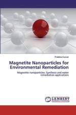 Magnetite Nanoparticles for Environmental Remediation af Pratibha Kumari