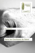 Dans les Coulisses du Sahel af Abdoulaziz Deme