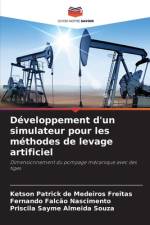 Developpement d'un simulateur pour les methodes de levage artificiel af Ketson Patrick de Medeiros Freitas