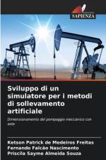Sviluppo di un simulatore per i metodi di sollevamento artificiale af Ketson Patrick de Medeiros Freitas