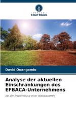 Analyse der aktuellen Einschränkungen des EFBACA-Unternehmens af David Ouangando