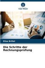 Die Schritte der Rechnungsprüfung af Elise Brillet