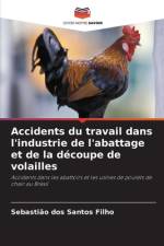 Accidents du travail dans l'industrie de l'abattage et de la découpe de volailles af Sebastião Dos Santos Filho