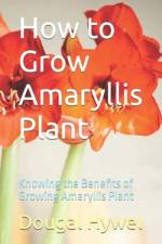 How to Grow Amaryllis Plant af Dougal Hywel