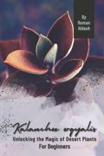Kalanchoe orgyalis af Roman Aldash