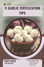 11 Garlic Fertilization Tips af Van Doichev