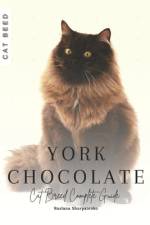 York Chocolate af Ruslana Shurpatenko