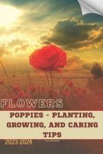 Poppies - Planting, Growing, and Caring Tips af Ivan Moshak