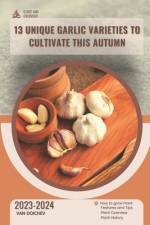 13 Unique Garlic Varieties to Cultivate This Autumn af Van Doichev