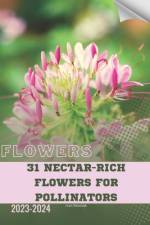 31 Nectar-Rich Flowers for Pollinators af Ivan Moshak