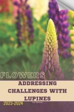 Addressing Challenges with Lupines af Ivan Moshak