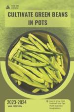 How to Cultivate Green Beans in Pots af Van Doichev