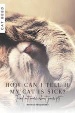 How can I tell if my cat is sick? af Ruslana Shurpatenko