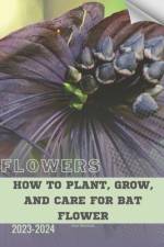 How to Plant, Grow, and Care for Bat Flower af Ivan Moshak