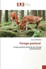 Forage pastoral af Denis Djongyang