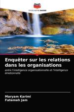 Enquêter sur les relations dans les organisations af Maryam Karimi
