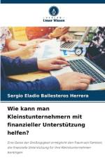 Wie kann man Kleinstunternehmern mit finanzieller Unterstützung helfen? af Sergio Eladio Ballesteros Herrera