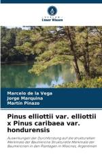 Pinus elliottii var. elliottii x Pinus caribaea var. hondurensis af Marcelo de la Vega