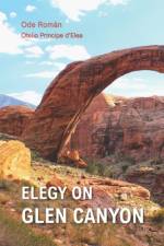 Elegy on Glen Canyon af Ode Roman