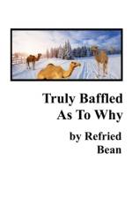 Truly Baffled As To Why af Refried Bean