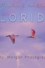 Capturing America - Florida af Andy Morgan