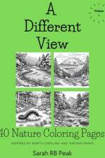 A Different View Volume One af Sarah Raye Peak