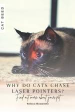 Why do cats chase laser pointers? af Ruslana Shurpatenko