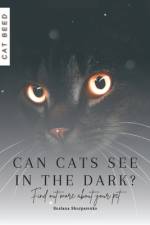 Can cats see in the dark? af Ruslana Shurpatenko