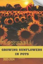 Growing Sunflowers in Pots af Ivan Moshak