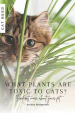 What plants are toxic to cats? af Ruslana Shurpatenko
