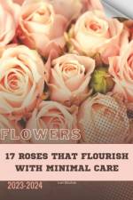 17 Roses That Flourish with Minimal Care af Ivan Moshak