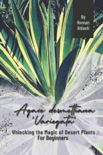 Agave desmettiana 'Variegata' af Roman Aldash