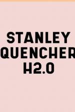 Stanley Quencher H2.O Flowstate Stainless Steel Vacuum Insulated Tumbler 30oz and 40oz Book af Stanley Q Brain Empire