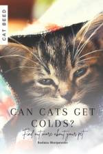 Can cats get colds? af Ruslana Shurpatenko