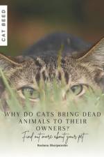 Why do cats bring dead animals to their owners? af Ruslana Shurpatenko