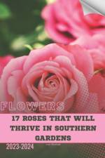 17 Roses That Will Thrive in Southern Gardens af Ivan Moshak