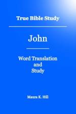 True Bible Study - John af Maura K Hill