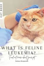 What is feline leukemia? af Ruslana Shurpatenko