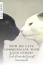 How do cats communicate with each other? af Ruslana Shurpatenko