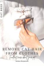 Remove cat hair from clothes af Ruslana Shurpatenko