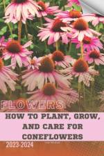 How to Plant, Grow, and Care For Coneflowers af Ivan Moshak
